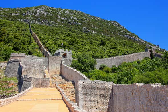 Escursione a Ston + Degustazione di vino