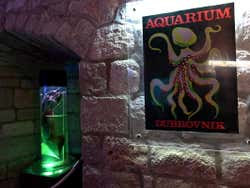 Acquario di Dubrovnik