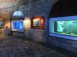 Le sale dell'acquario di Dubrovnik